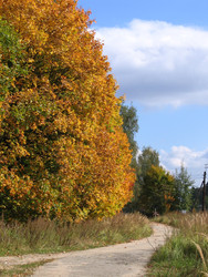 Similar image 22109066