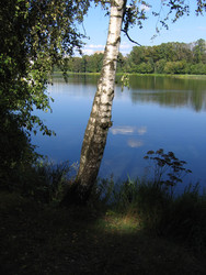 Similar image 22109067