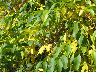 Similar image 22109070