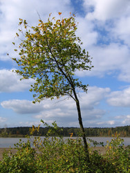 Similar image 22109071