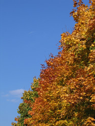 Similar image 22109072