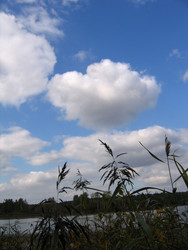 Similar image 22109073