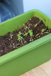 Similar image 22109079