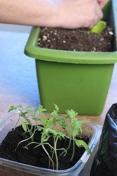 Similar image 22109080