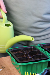 Similar image 22109083