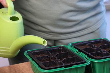 Similar image 22109084