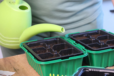 Similar image 22109085