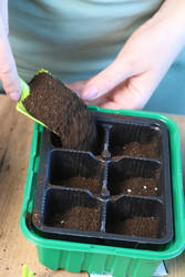 Similar image 22109086