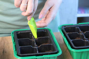 Similar image 22109092