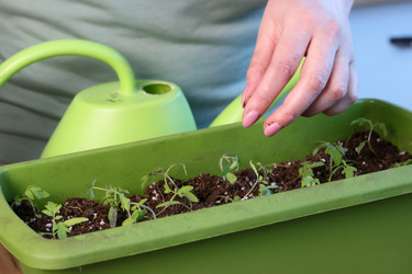 Similar image 22109098