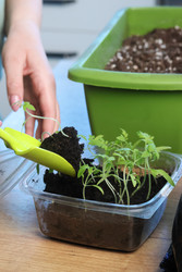 Similar image 22109101