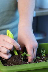 Similar image 22109103