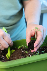 Similar image 22109104