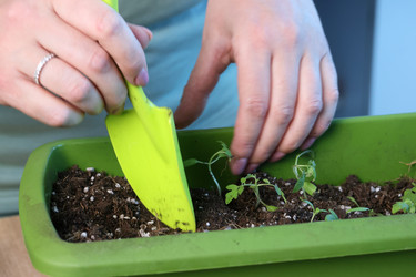 Similar image 22109105