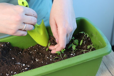 Similar image 22109106