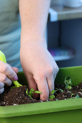 Similar image 22109108