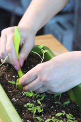 Similar image 22109110