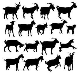 Similar image 22109619