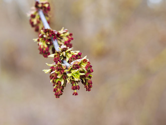 Similar image 22109191