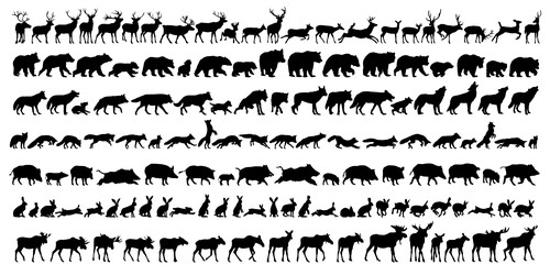 Similar image 22109620