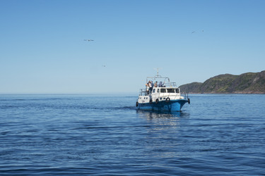 Similar image 22109701