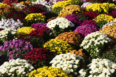 Similar image 22109702