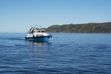 Similar image 22109703