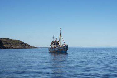 Similar image 22110195