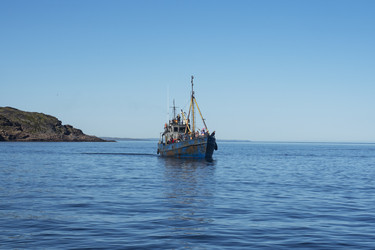 Similar image 22110197