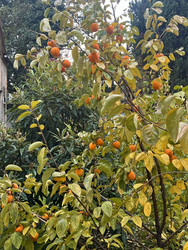 Similar image 22126043