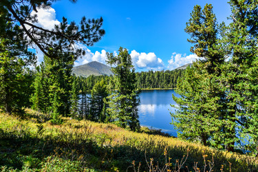 Similar image 22109582