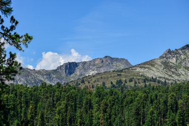 Similar image 22109600