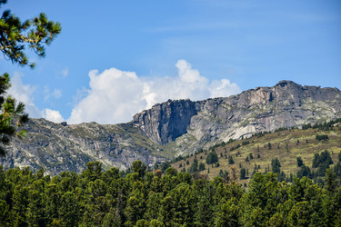 Similar image 22109601