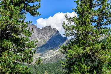 Similar image 22109602