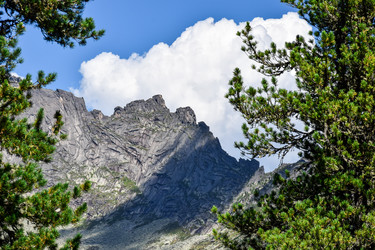 Similar image 22109603