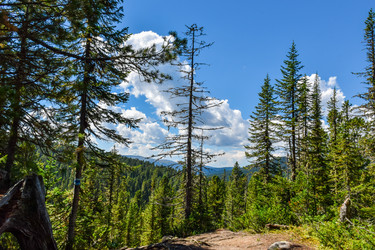 Similar image 22109607