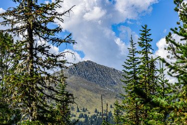 Similar image 22109608