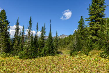 Similar image 22109610