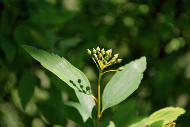 Similar image 22109549