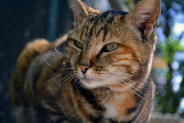 Similar image 22109550