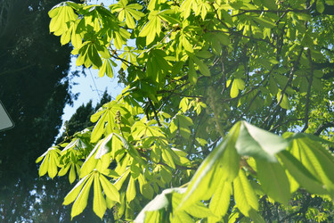 Similar image 22109560