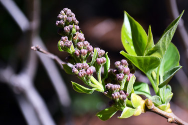 Similar image 22109564