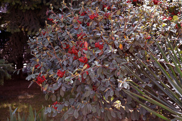 Similar image 22109565