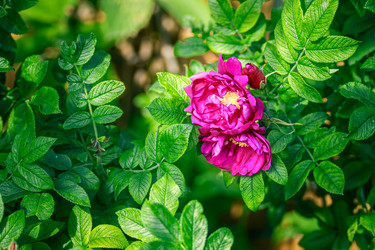 Similar image 22111799