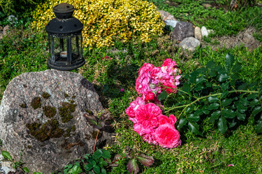 Similar image 22111803