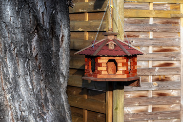 Similar image 22111809