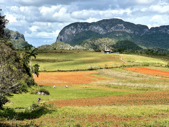 Similar image 22125678