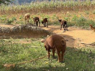 Similar image 22109507