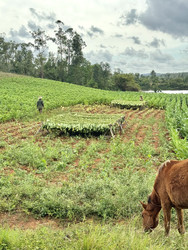 Similar image 22109508