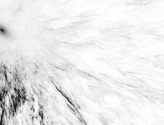 Similar image 22109841